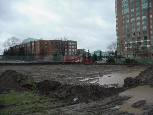 9-SiteWithPuddle2-11-13-12